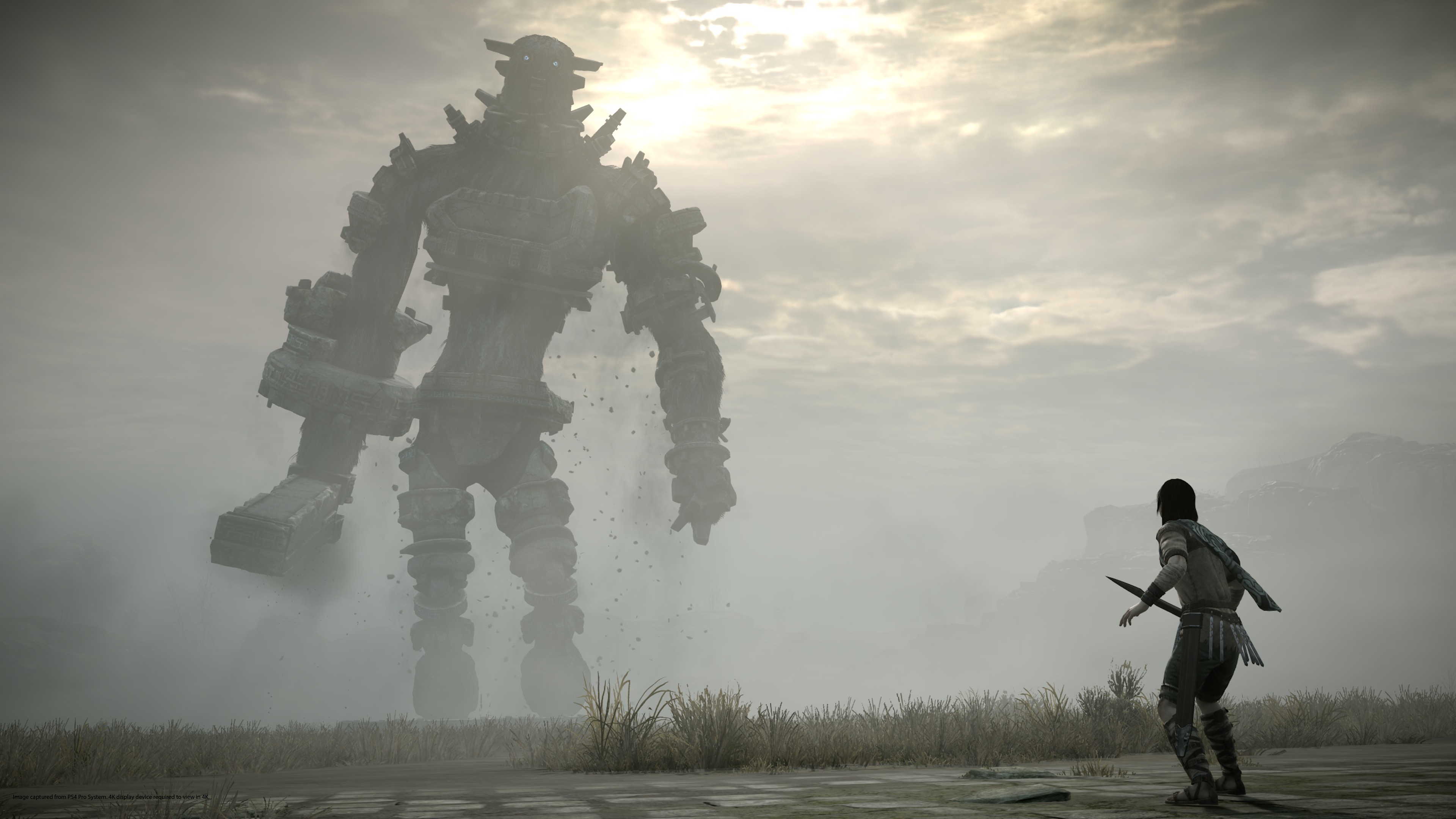 Shadow of the Colossus(2018)