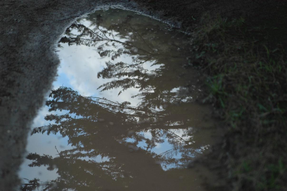 Fresnel puddle